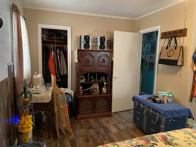 bedroom with a walk in closet, a closet, crown molding, and dark wood-type flooring