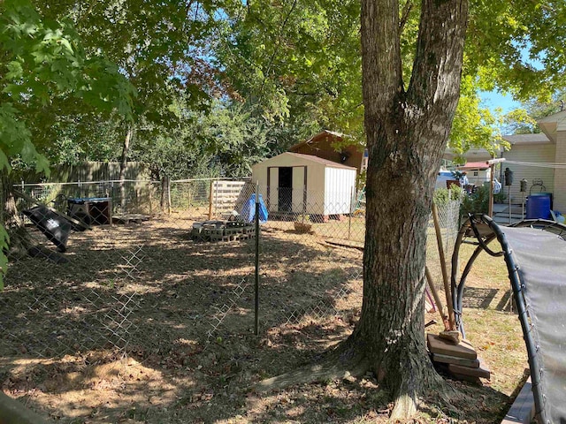 view of yard with a shed