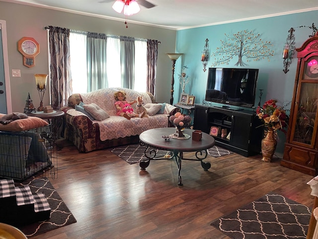 living room with ceiling fan, dark wood-type flooring, and ornamental molding