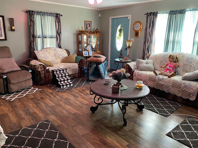 living room with crown molding and dark hardwood / wood-style floors