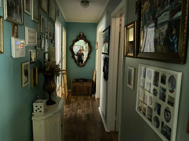 hallway with hardwood / wood-style floors