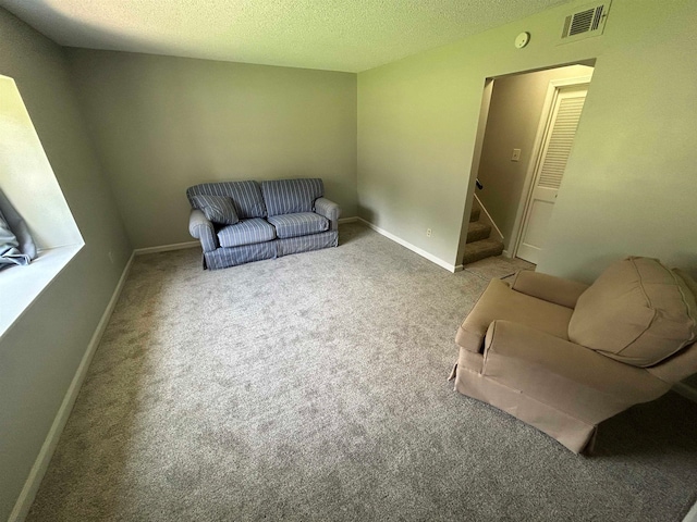 living area featuring carpet flooring and a textured ceiling