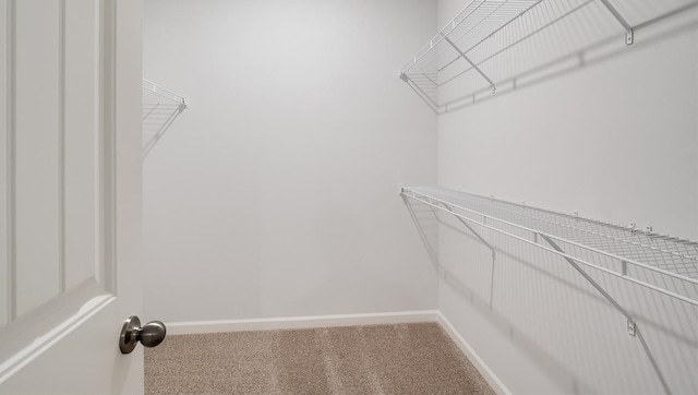 4507 Shelby Rd, Millington, TN 38053 - walk in closet with carpet floors