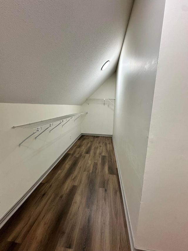 walk in closet with vaulted ceiling and dark wood-type flooring