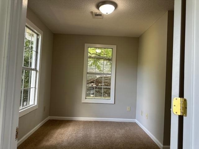 carpeted empty room featuring a wealth of natural light and a textured ceiling