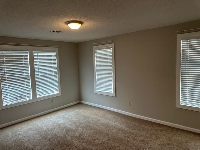 spare room featuring a textured ceiling, a healthy amount of sunlight, and carpet floors