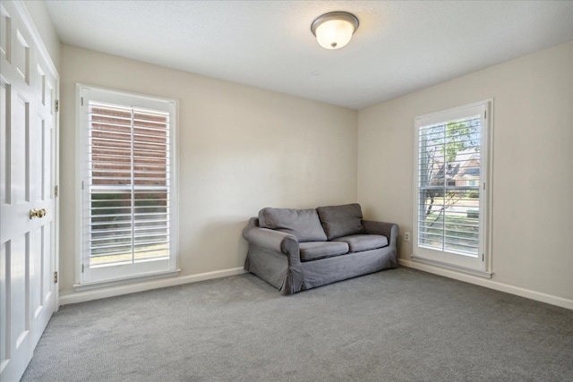 living area featuring carpet