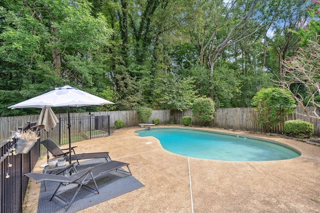 view of pool featuring a diving board and a patio