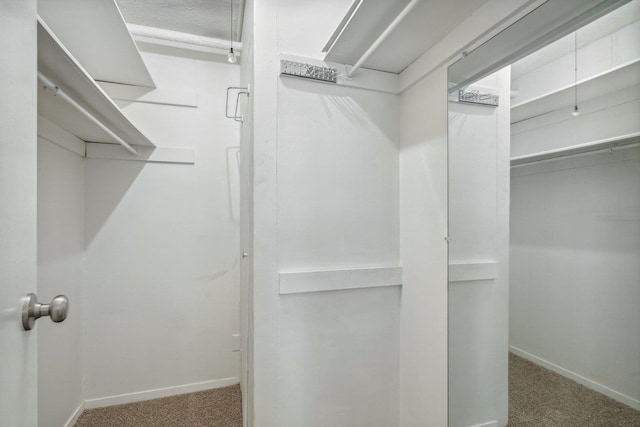 walk in closet featuring carpet flooring