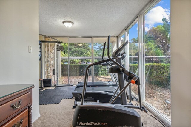 workout room with floor to ceiling windows, carpet, and a textured ceiling