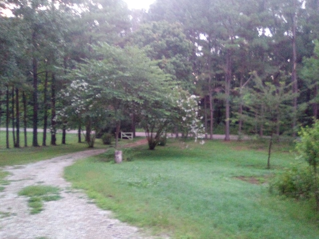 view of property's community with a lawn