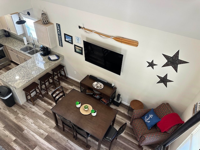 living room featuring sink and hardwood / wood-style flooring