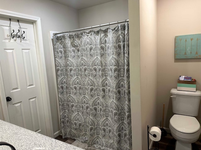 bathroom featuring vanity, toilet, and a shower with curtain