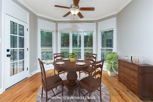 interior space with baseboards, ceiling fan, crown molding, and light wood finished floors