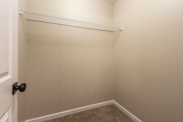 spacious closet featuring dark carpet