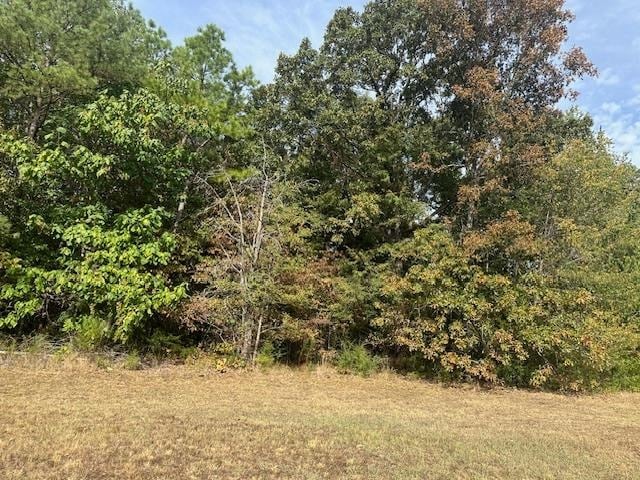 Listing photo 3 for 000 Glendale Rd, Morris Chapel TN 38361