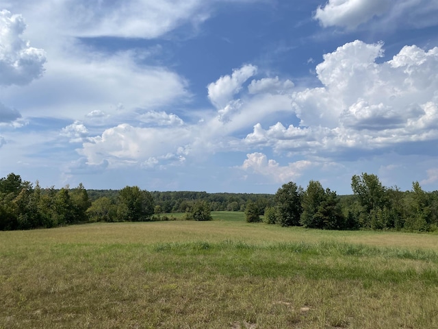 7080 Beauty Hill Rd, Adamsville, TN 38310 - view of nature featuring a rural view and a view of trees