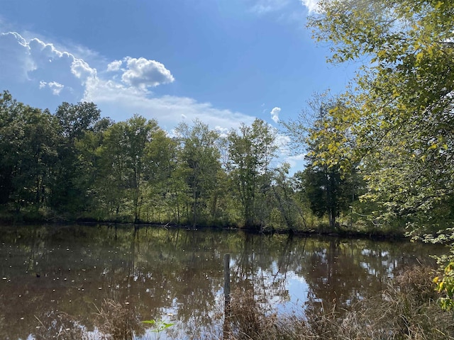 7080 Beauty Hill Rd, Adamsville, TN 38310 - property view of water featuring a wooded view