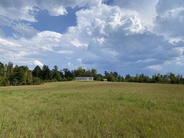 7080 Beauty Hill Rd, Adamsville, TN 38310 - view of landscape with a rural view