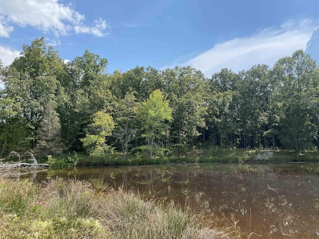 7080 Beauty Hill Rd, Adamsville, TN 38310 - view of local wilderness featuring a wooded view and a water view