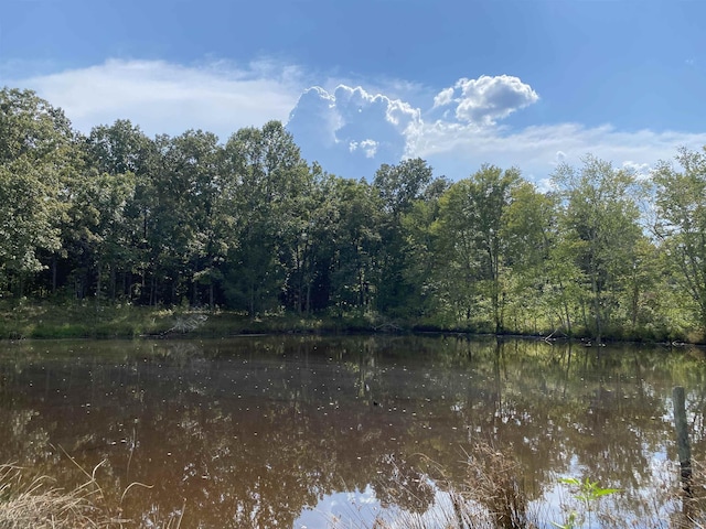 7080 Beauty Hill Rd, Adamsville, TN 38310 - view of water feature with a view of trees