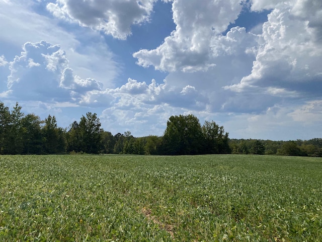 7080 Beauty Hill Rd, Adamsville, TN 38310 - view of landscape with a wooded view and a rural view