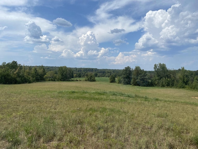 7080 Beauty Hill Rd, Adamsville, TN 38310 - view of nature with a rural view and a forest view