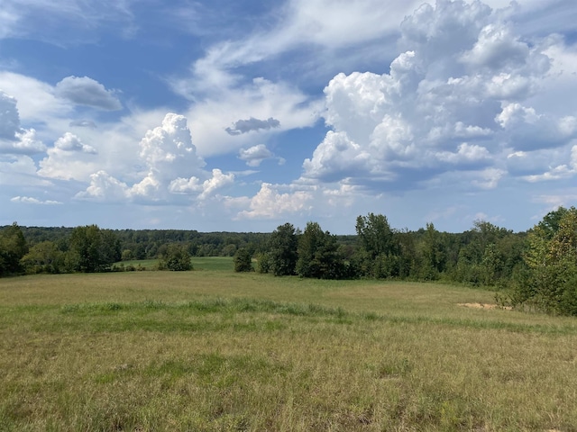 7080 Beauty Hill Rd, Adamsville, TN 38310 - view of nature with a rural view and a view of trees