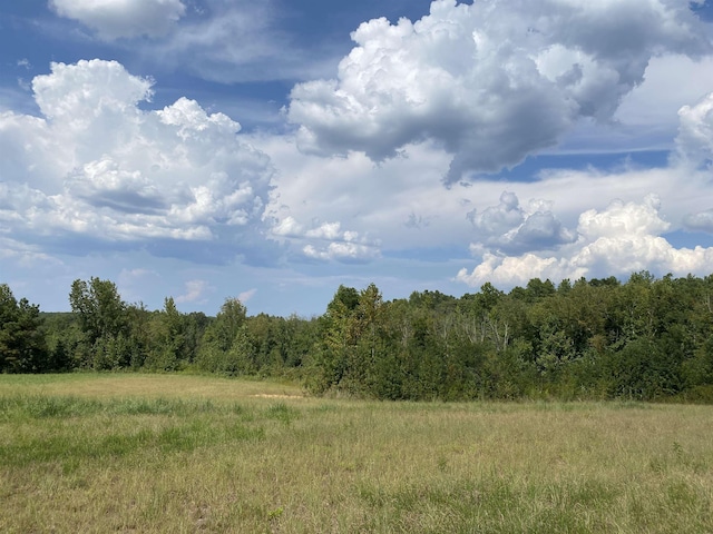 7080 Beauty Hill Rd, Adamsville, TN 38310 - view of local wilderness with a forest view and a rural view