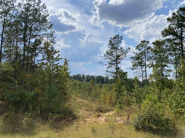 7080 Beauty Hill Rd, Adamsville, TN 38310 - view of local wilderness featuring a wooded view