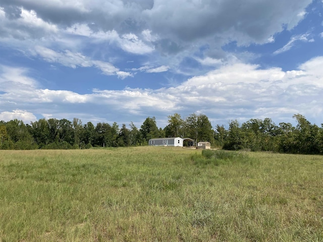 7080 Beauty Hill Rd, Adamsville, TN 38310 - view of yard with a forest view and a rural view