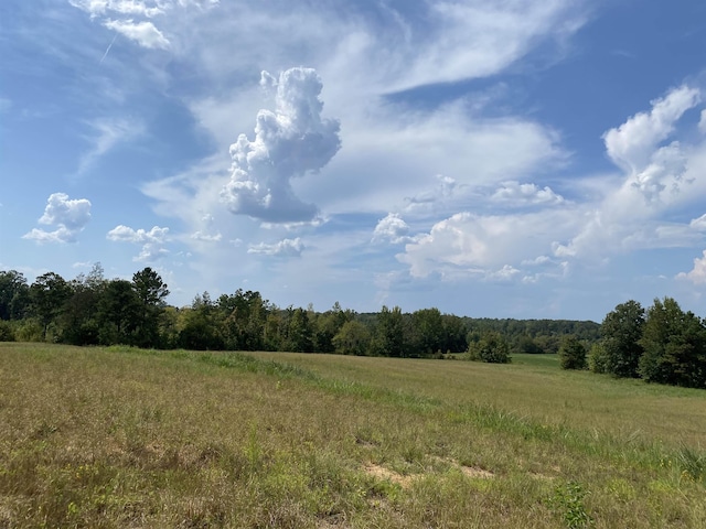 7080 Beauty Hill Rd, Adamsville, TN 38310 - view of landscape featuring a forest view and a rural view