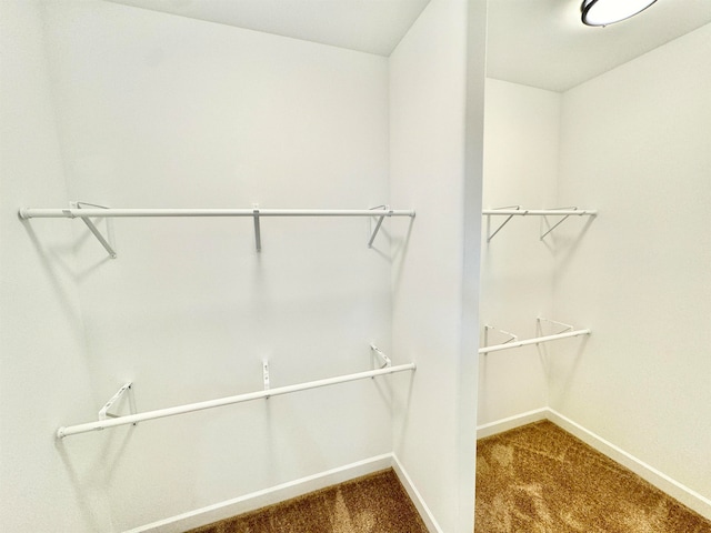 spacious closet featuring carpet floors