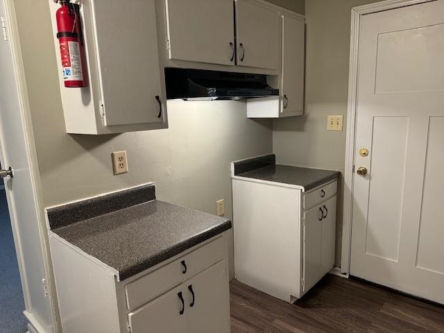 kitchen featuring exhaust hood and dark hardwood / wood-style flooring