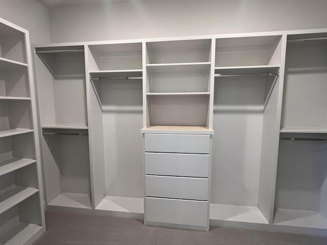 12104 Stromness Cv, Arlington, TN 38002 - spacious closet with carpet floors
