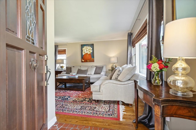 living room with wood-type flooring