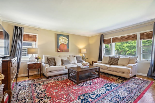 living room with crown molding, plenty of natural light, and wood-type flooring