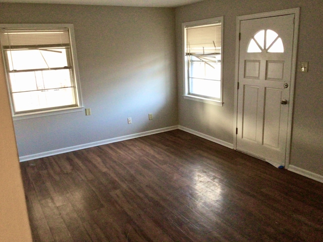 entrance foyer with dark wood-type flooring and a wealth of natural light