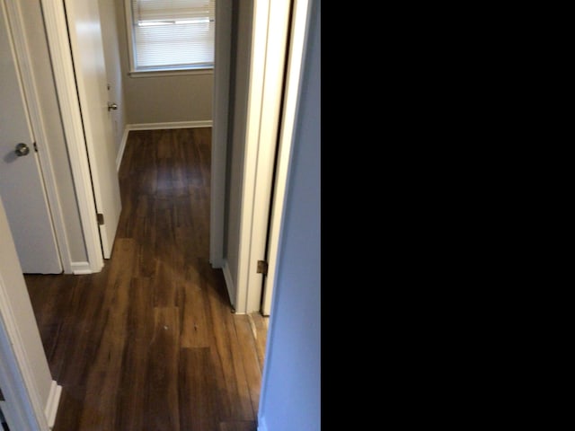 corridor featuring dark hardwood / wood-style flooring