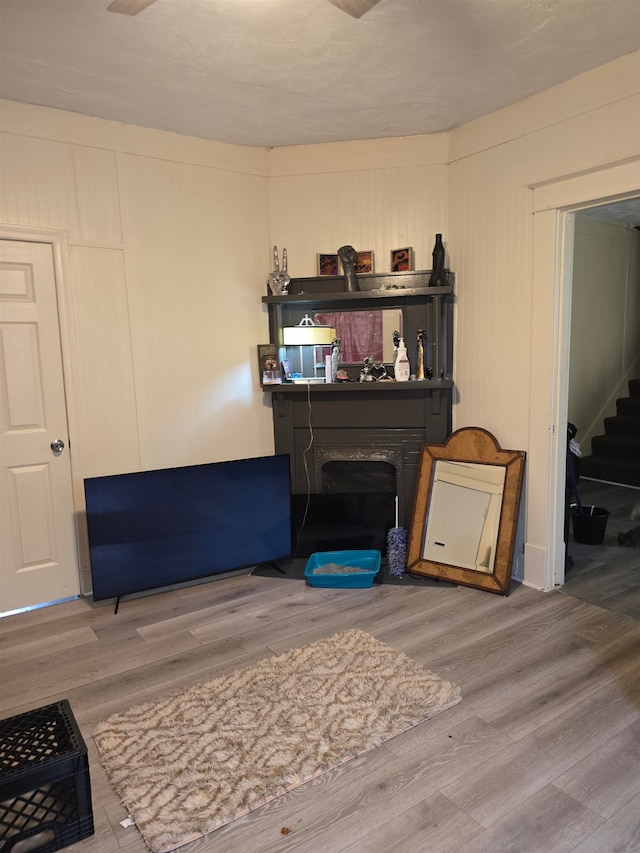 living room featuring wood-type flooring and a fireplace