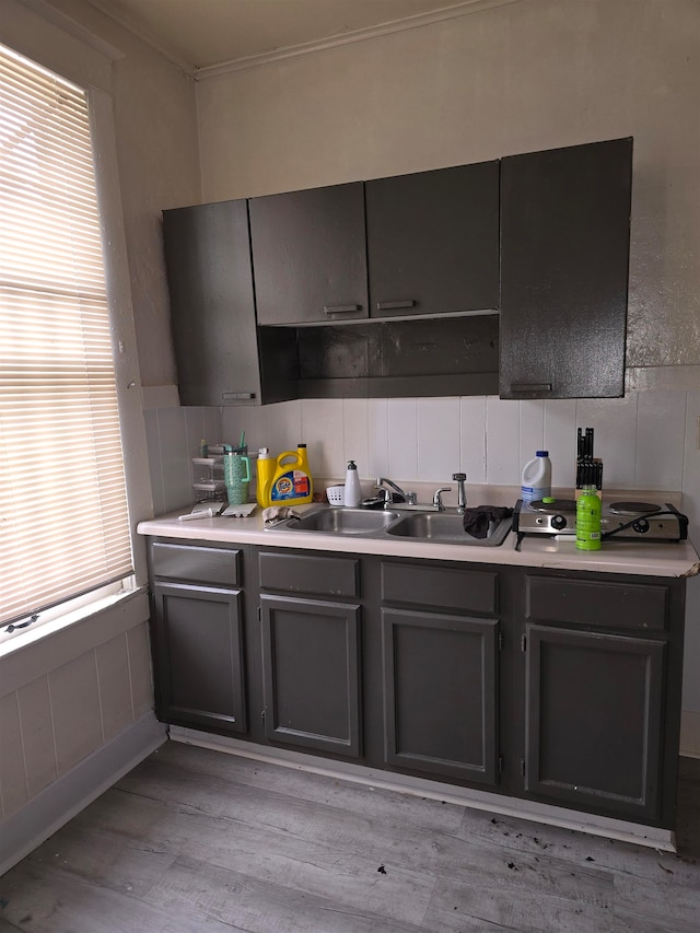 kitchen featuring light wood-type flooring, a wealth of natural light, crown molding, and sink