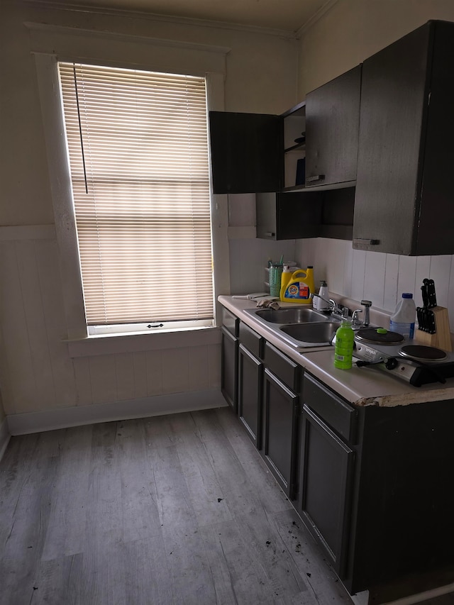 kitchen with ornamental molding, sink, and light hardwood / wood-style flooring