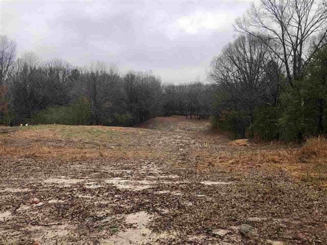 1698 Pisgah Rd, Unicorp/Memphis TN, 38028 land for sale