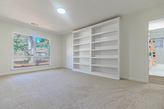 carpeted spare room with a wealth of natural light and a textured ceiling