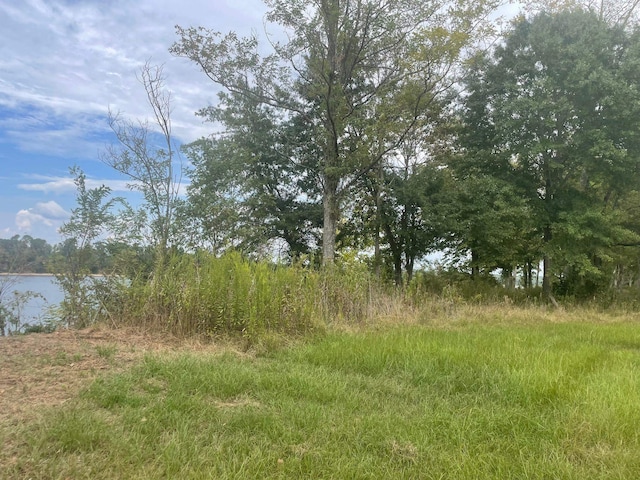 Listing photo 3 for LOT5 Caden Cv, Savannah TN 38372