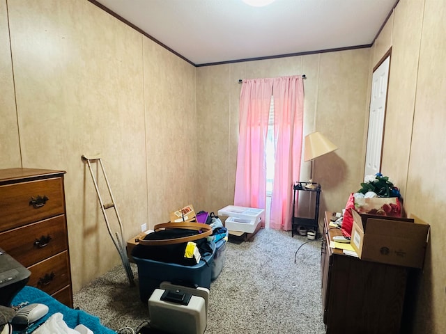 interior space with crown molding and carpet floors