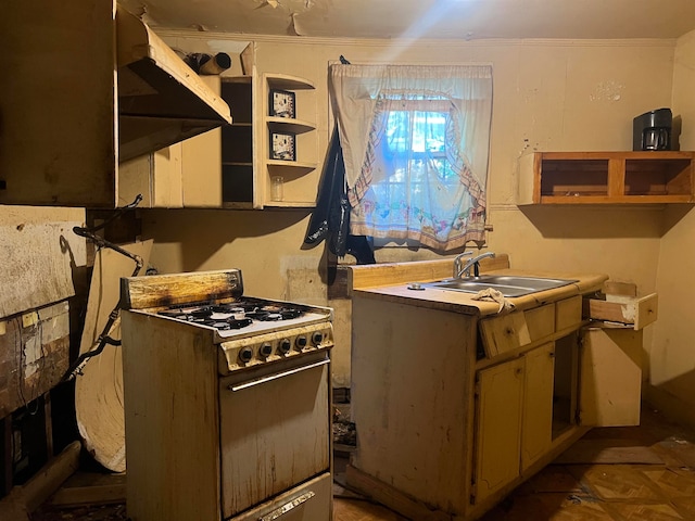 kitchen with ornamental molding, sink, dark parquet flooring, and white range with gas cooktop