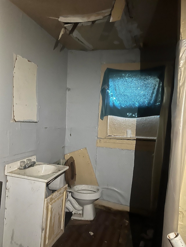 bathroom featuring vanity, toilet, and hardwood / wood-style floors