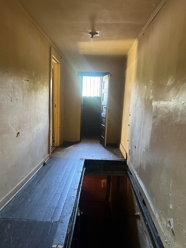 entryway featuring hardwood / wood-style flooring