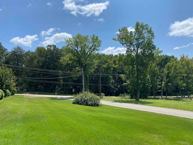 view of property's community with a yard